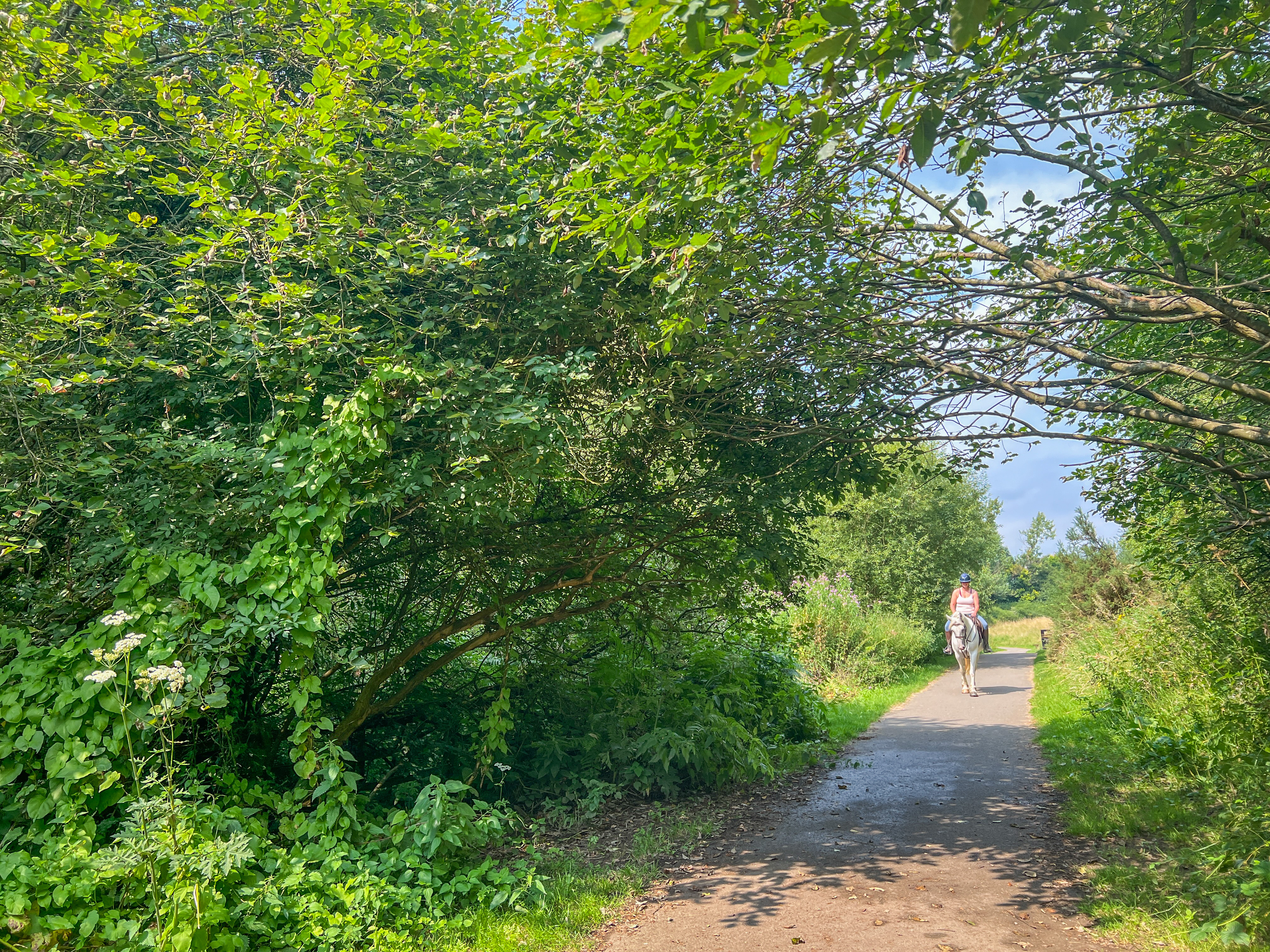 Ripley Greenway