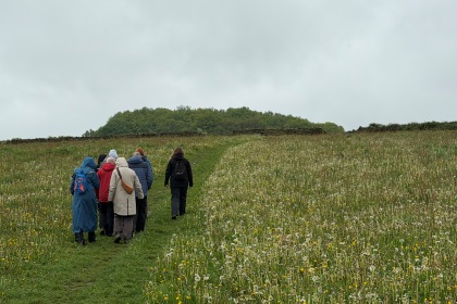 Future vision for Common Farm