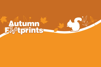 Explore with Autumn Footprints
